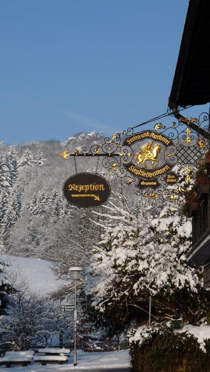 Ringhotel Siegfriedbrunnen Grasellenbach Esterno foto